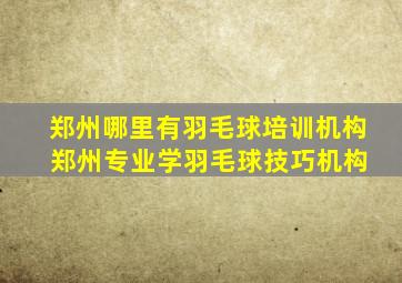 郑州哪里有羽毛球培训机构 郑州专业学羽毛球技巧机构